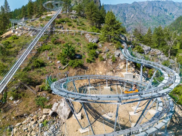 Alpine coaster